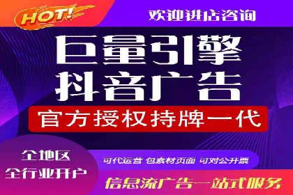 百度竞价广告投放的ROI优化：经典案例分享